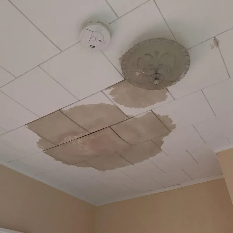 Ceiling Water Damage Repair in Fellsburg, PA