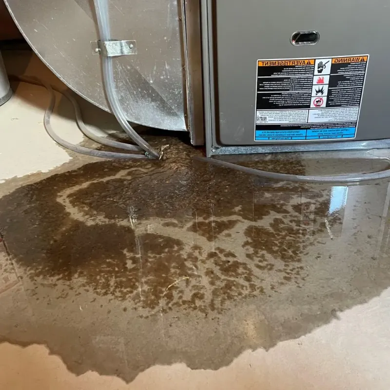 Pipe Burst and Leak Restoration in Fellsburg, PA
