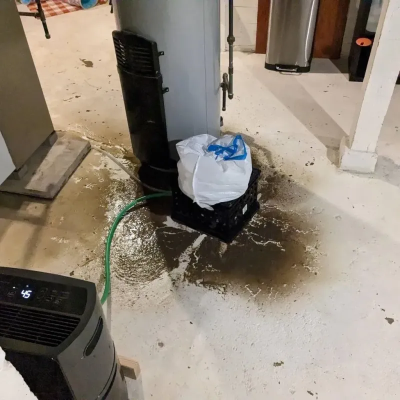 Sewage Backup Cleanup Service in Fellsburg, PA